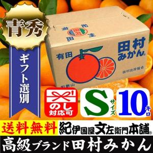 田村みかん 赤秀 M 10キロ 特選 贈答用ギフト選別品 Mサイズ 10kg