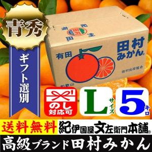 順次出荷】有田みかん サイズ混合 約5kg 青秀 和歌山県有田産・紀伊