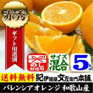 紀州有田産・バレンシアオレンジ レギュラー品 　5kg｜bunza