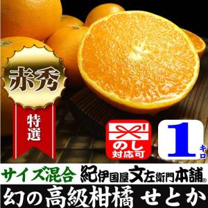 田村みかん 赤秀 S 5キロ 特選 贈答用ギフト選別品 Sサイズ 5kg [1箱