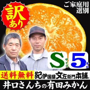 有田みかん　井好農園・井口さんがつくる完熟有田みかん 　約5kg　(Sサイズ) 約62果 わけありＢ級（和歌山みかん　有田川町産）