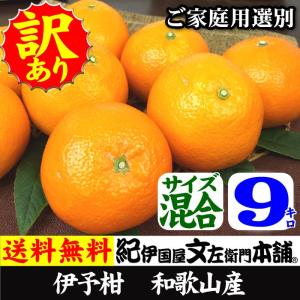 田村みかん 赤秀 S 5キロ 特選 贈答用ギフト選別品 Sサイズ 5kg [1箱