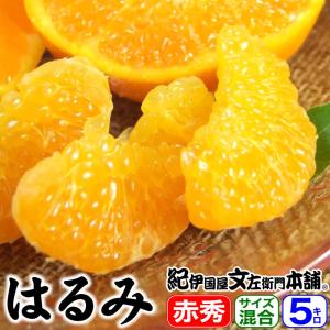 田村みかん 赤秀 S 5キロ 特選 贈答用ギフト選別品 Sサイズ 5kg [1箱