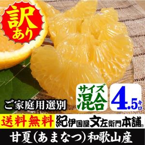 完熟甘夏（あまなつ）（買得品4.5kg）ご家庭用・紀州和歌山県有田みかんの里から　TVで話題の規格外...