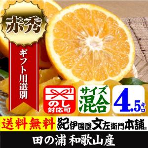 順次出荷】 田村みかん お買得 小玉 2Sサイズ 5kg詰 [1箱＝約70〜80果