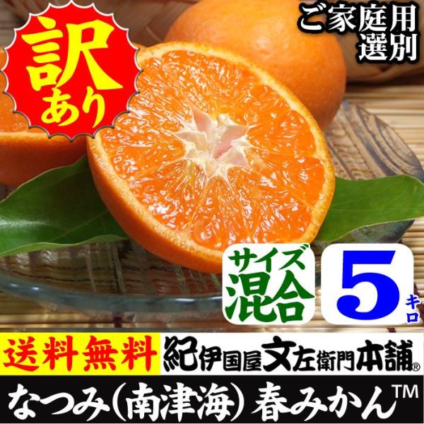 【順次出荷】紀州和歌山有田みかんの里から・なつみ（南津海）みかん　 (規格外 不揃い)（わけあり 訳...