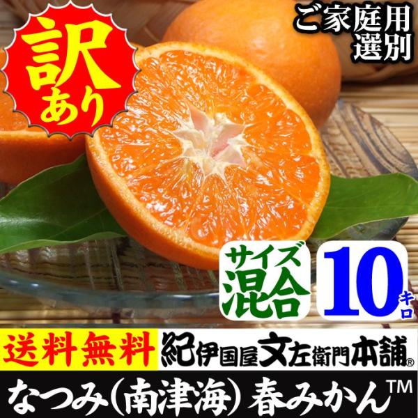 紀州有田みかんの里から・なつみ（南津海）みかん（わけあり柑橘：買得品10kg）ご家庭用 ・この果実は...