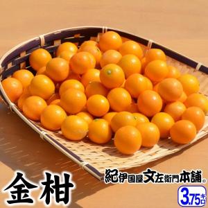 田村みかん 赤秀 S 5キロ 特選 贈答用ギフト選別品 Sサイズ 5kg [1箱