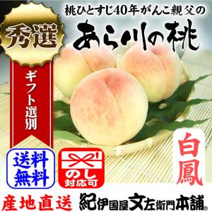 紀州和歌山の「あら川の桃」　(白鳳種)　産直和歌山県　手選り(秀選)　約1.8kg/7玉入｜bunza