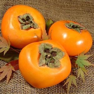 たねなし柿 約7 5kg L 36個入 赤秀 ながみね 種なし柿 種無し柿 平核無柿 ひらたねなし柿 紀州和歌山 Dk 紀伊国屋文左衛門本舗 ヤフー店 通販 Yahoo ショッピング