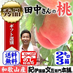 (約２kg箱×３箱セット)田中さんちの大きなわかやまの桃（もも）　和歌山県紀の川市産・田中さんちの桃（白鳳・嶺鳳・白桃）｜bunza