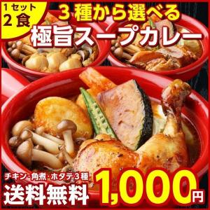 カレー レトルト【3種から選べる 北海道極旨スパイシー.スープカレー2食.】レトルトカレー スパイス スパイスカレー チキン 角煮 ホタテ 送料無料 食品【B】