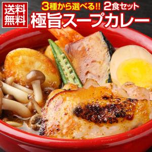 タイムセール開催中！ カレー レトルト【3種から選べる 北海道極旨スパイシー.スープカレー2食.】レトルトカレー スパイス スパイスカレー チキン 角煮【B】