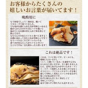おつまみ 珍味 【北海厳選. エイヒレ 150...の詳細画像2