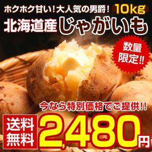 【送料無料】 北海道産.完熟じゃがいも10Kg. 男爵芋 男爵 男しゃくいも だんしゃく ジャガイモ じゃが芋 【E】