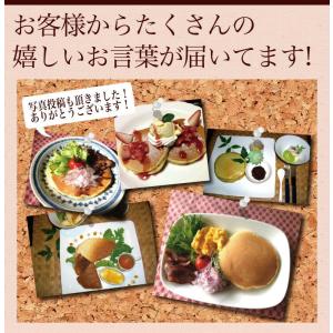 北海道小麦の.パンケーキミックス180g×4袋...の詳細画像3