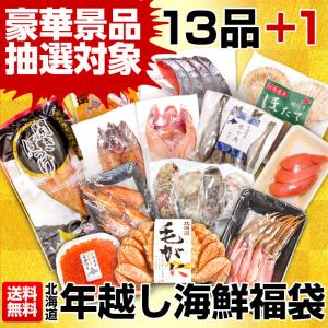福袋 復袋＼北海道グルメを豪華10点以上詰め合わせ！／.北海道ふっこう支援福袋8000円. お取り寄せグルメ 復興 応援 食品ロス 北海道物産展 食品 海鮮【M01】