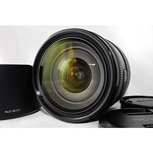 SONY 標準ズームレンズ DT 16-50mm F2.8 SSM APS-Cフォーマット専用