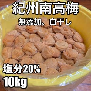 訳あり　無添加・無着色　紀州南高梅白干梅　10kg　完熟梅　昔ながらの梅干し　お取り寄せグルメ　父の日　母の日　お中元　お歳暮｜buraridou001