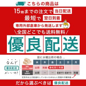 【ヒルナンデス!で紹介★防災士監修 】耐火バッ...の詳細画像5