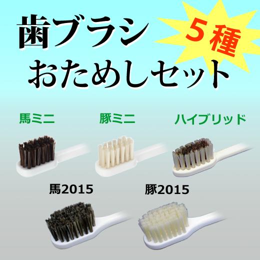 ブラシの平野　歯ブラシ　おためし５種セット　ネコポス対応 全国一律送料385円ポストへお届け