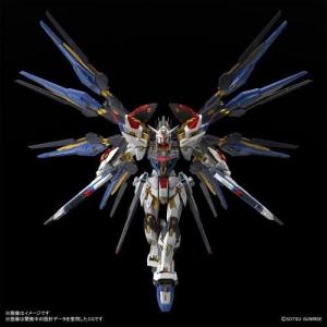 MGEX 機動戦士ガンダムSEED DESTINY ストライクフリーダムガンダム｜buried-treasures