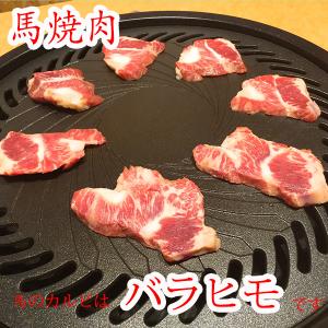 送料無料　馬焼肉　焼肉　本場熊本　馬肉　馬カルビ　バラヒモ　あばら　2〜3人前 　