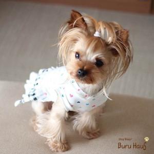 ワンピ キャミ ギンガムチェックの ワンピース 色 クリーム ギンガムチェック 愛犬服 犬服｜buruhaus