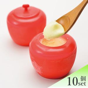 信州りんご玉 10個入り アイス ジェラート アイスクリーム スイーツ お取り寄せ ギフト フルーツ りんご 長野 信州産