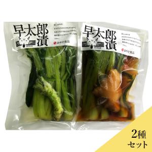 野沢菜　早太郎漬け2種(生わさび、しょうが味噌漬け)入りセット  送料込(沖縄別途240円)｜busan-nagano