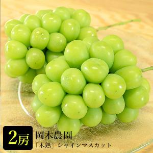 岡木農園 木熟 シャインマスカット(２房入り)｜送料込(沖縄・離島配送不可)