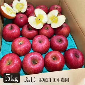 【産地直送／田中農園】信州産 ふじ 家庭用 5kg（13〜20玉） 送料込（沖縄・離島別途1,060円）