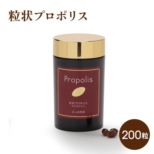 プロポリス 粒状プロポリス 200粒 ブラジル 健康 ビタミン ミネラル サプリメント 原液 武州養...