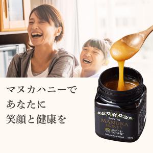 マヌカハニー マヌカハニー 250g UMF1...の詳細画像1