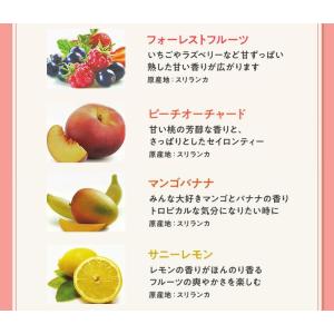 紅茶 福袋 おいしい紅茶シリーズ30包(10種...の詳細画像3