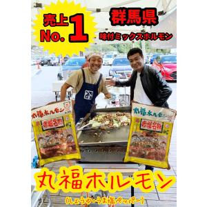 国産 群馬県産 豚ホルモン 焼肉 希少部位 豚...の詳細画像4