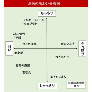 新米 令和7年産 お米 真空パック 食べ比べセ...の詳細画像4