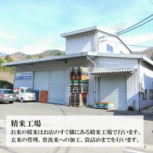 新米 令和7年産 新潟県 魚沼産コシヒカリ 真...の詳細画像3