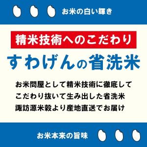 新米 令和7年産 新潟県 魚沼産コシヒカリ 真...の詳細画像5