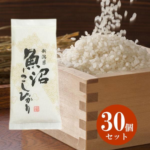 新米 令和5年産 新潟県魚沼産コシヒカリ 真空パック 30個セット 手渡し袋付き 引越し 挨拶 ギフ...