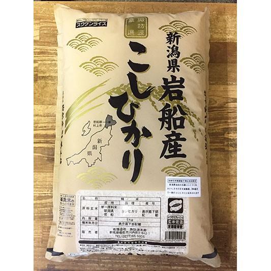 新米 令和5年産 新潟県 岩船産コシヒカリ 5kg ギフト 化粧箱入り すわげんの省洗米