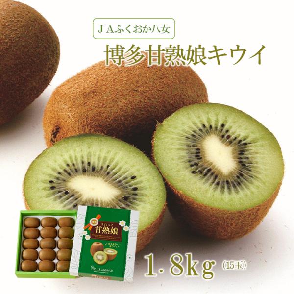 キウイ 完熟 博多甘熟娘 1.8kg 福岡県産 JAふくおか八女 冬ギフト 福よかマーケット
