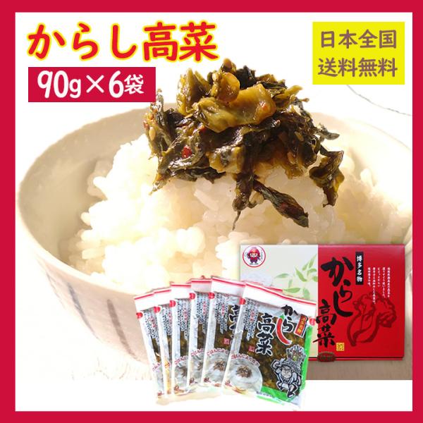 漬物 ごはんのお供 からし高菜 90g×6袋 旭食品工業 本場福岡産 辛子高菜 レターパック 全国送...