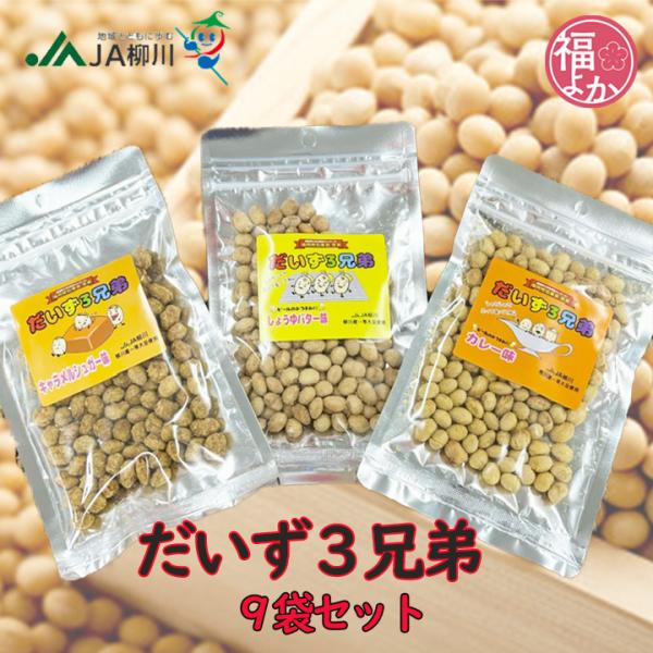 だいず3兄弟 9袋セット JA柳川 大豆 おつまみ おやつ お取り寄せ 福よかマーケット 爆買
