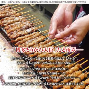 博多とりかわ大臣 20本 (たれ・しお各10本...の詳細画像2