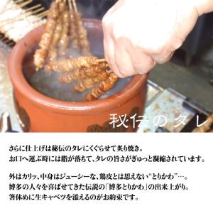 博多とりかわ大臣 20本 (たれ・しお各10本...の詳細画像4
