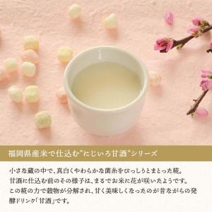 にじいろ甘酒 5色 ギフト 浦野醤油醸造元 米...の詳細画像1