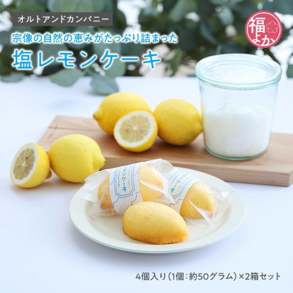 塩レモンケーキ 2箱 オルトアンドカンパニー 福岡 宗像 お取り寄せ グルメ 福よかマーケット 爆買