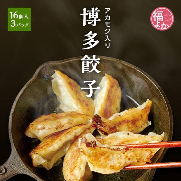博多餃子 アカモク入り 16個入 3パック マサエイ水産加工 玄界灘産 ギバサ 福よかマーケット