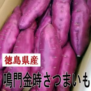 【新芋入荷】 鳴門金時　さつまいも　5kg（箱入り）　徳島特産｜bussankan